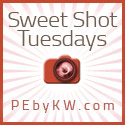 Sweet Shot Tuesday with Kent Weakley