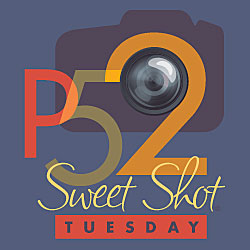 P52 Sweet Shot Tuesday with Kent Weakley