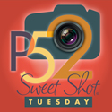 P52 Sweet Shot Tuesday with Kent Weakley